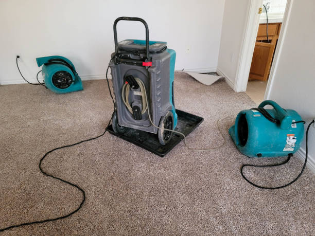 Best Commercial water damage restoration  in Chase City, VA