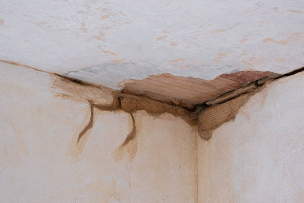 Best Flooded house restoration  in Chase City, VA