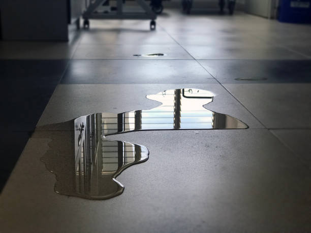 Best Local water damage restoration  in Chase City, VA