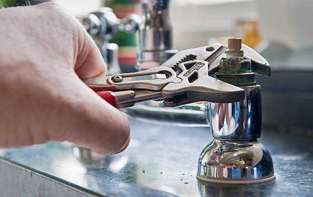 Best Mold removal after water damage  in Chase City, VA