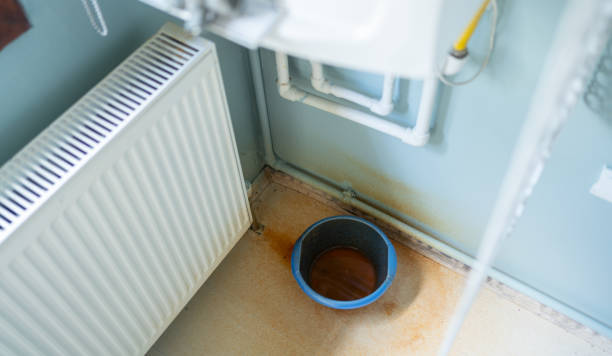 Best Basement water damage restoration  in Chase City, VA