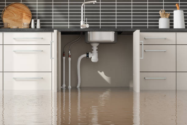 Best Water damage repair service  in Chase City, VA