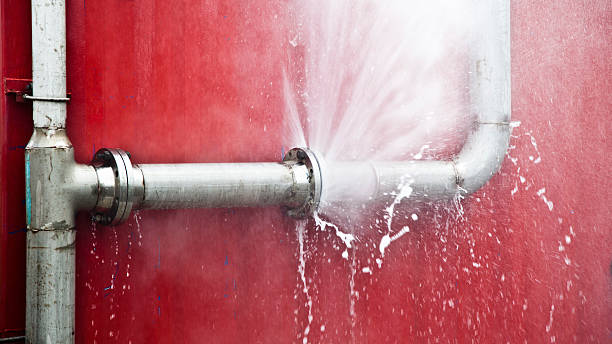 Best Flooded house restoration  in Chase City, VA